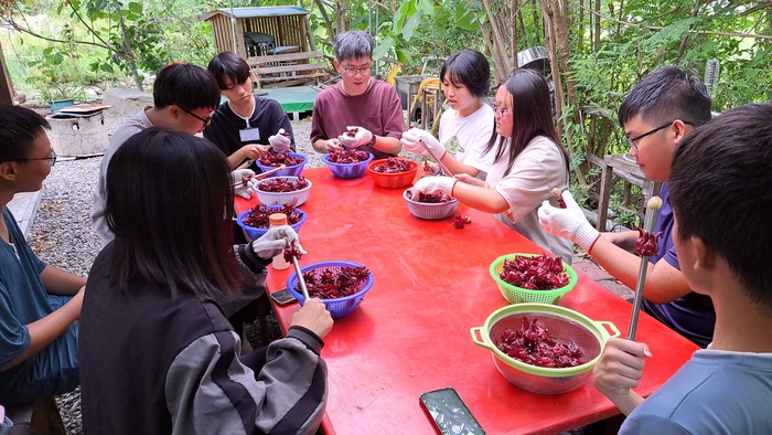 114 臺東部落走讀系列(二)：食農教育 x 陶珠物語圖片